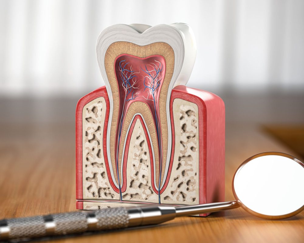 CONTROL GINGIVITIS SIRVENT